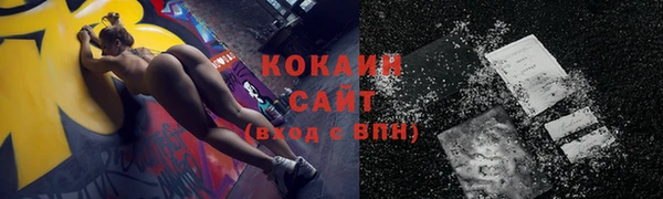 стаф Новокубанск
