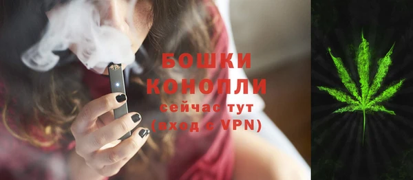 прущие грибы Верхний Тагил