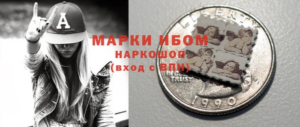 прущие грибы Верхний Тагил
