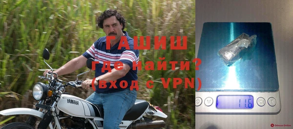 прущие грибы Верхний Тагил
