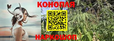 гидропоника Краснознаменск
