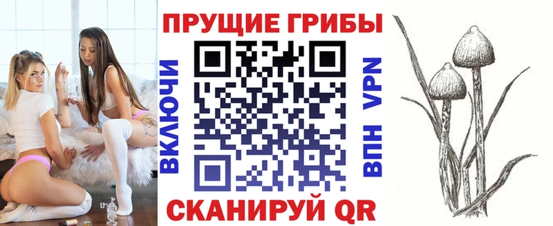 kraken ССЫЛКА  Геленджик  Галлюциногенные грибы мицелий 