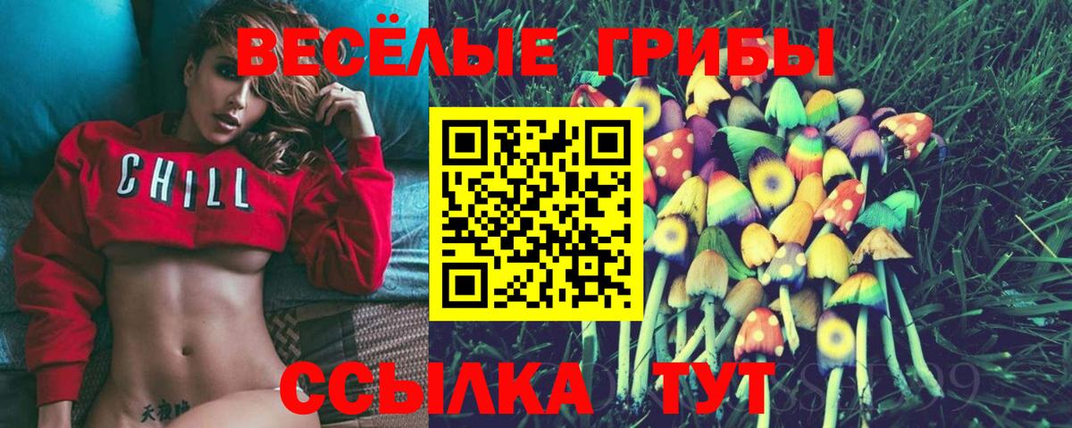 Псилоцибиновые грибы прущие грибы  Вход с VPN  Геленджик 